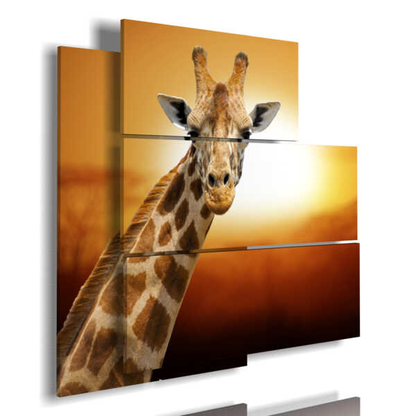 tableaux animaux africains avec girafe vous regardant