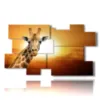 afrikanisches tierbild mit giraffe die dich anschaut - version: 10 pannelli 186x105cm