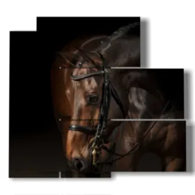 painting with a horse