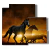 paintings of modern horses kissed by the sunset - version: 5 pannelli 102x93cm