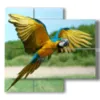 painting with parrot in flight - version: 4 pannelli 91x85cm