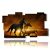 cuadros de caballos modernos