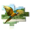 bild mit papagei im flug - version: 12 pannelli 179x146cm