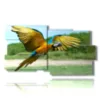 painting with parrot in flight - version: 10 pannelli 183x100cm