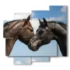 cuadros de caballos enamorados - version: 5 pannelli 106x98cm
