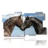 tableaux de chevaux amoureux - version: 11 pannelli 184x104cm