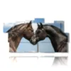 paintings of horses in love - version: 11 pannelli 197x106cm