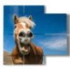 modern paintings with laughing horses - version: 4 pannelli 91x85cm
