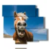 modern paintings with laughing horses - version: 6 pannelli 113x99cm