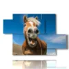 modern paintings with laughing horses - version: 5 pannelli 128x85cm