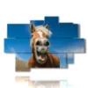 modern paintings with laughing horses - version: 9 pannelli 164x114cm