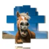 modern paintings with laughing horses - version: 11 pannelli 171x150cm
