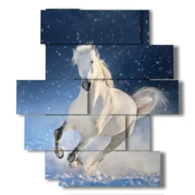 cuadro con caballo blanco