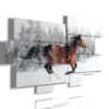 quadri con cavallo mentre corre nella neve