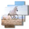 tableau dans un tableau avec un cheval blanc sur la plage - version: 4 pannelli 77x78cm