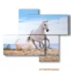 cuadro en un cuadro con un caballo blanco en la playa - version: 4 pannelli 94x77cm