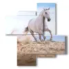 cuadro en un cuadro con un caballo blanco en la playa - version: 4 pannelli 94x98cm