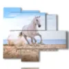tableau dans un tableau avec un cheval blanc sur la plage - version: 5 pannelli 104x90cm