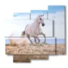 quadro in un dipinto con cavallo bianco nella spiaggia - version: 5 pannelli 106x98cm