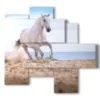 tableau dans un tableau avec un cheval blanc sur la plage - version: 5 pannelli 110x105cm