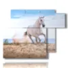 cuadro en un cuadro con un caballo blanco en la playa - version: 6 pannelli 122x96cm