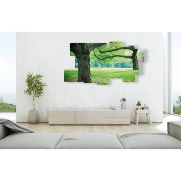 impressions d''arbres sempervirents