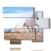 painting in a painting with a white horse on the beach - version: 6 pannelli 127x102cm