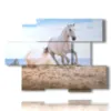 tableau dans un tableau avec un cheval blanc sur la plage - version: 6 pannelli 129x94cm