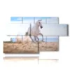 painting in a painting with a white horse on the beach - version: 7 pannelli 157x90cm
