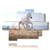 cuadro en un cuadro con un caballo blanco en la playa - version: 9 pannelli 164x114cm