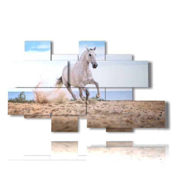 quadro in un dipinto con cavallo bianco nella spiaggia