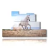 quadro in un dipinto con cavallo bianco nella spiaggia - version: 7 pannelli 171x101cm