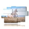 painting in a painting with a white horse on the beach - version: 9 pannelli 171x108cm