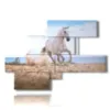 painting in a painting with a white horse on the beach - version: 8 pannelli 171x119cm
