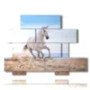 cuadro en un cuadro con un caballo blanco en la playa - version: 10 pannelli 171x127cm