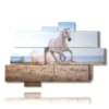 tableau dans un tableau avec un cheval blanc sur la plage - version: 10 pannelli 173x114cm
