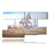 painting in a painting with a white horse on the beach - version: 9 pannelli 177x101cm