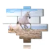 painting in a painting with a white horse on the beach - version: 12 pannelli 177x146cm