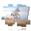 tableau dans un tableau avec un cheval blanc sur la plage - version: 15 pannelli 186x152cm