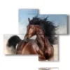 modern paintings horses in the foreground - version: 4 pannelli 94x77cm