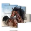 modern paintings horses in the foreground - version: 5 pannelli 104x90cm