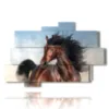 moderne bilder pferde im vordergrund - version: 10 pannelli 173x114cm