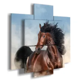 cuadros modernos con caballos en primer plano