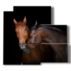 tableau avec des chevaux qui s aiment - version: 5 pannelli 102x93cm