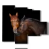 tableau avec des chevaux qui s aiment - version: 5 pannelli 104x90cm