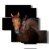 tableau avec des chevaux qui s aiment - version: 5 pannelli 104x92cm