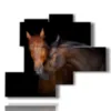 painting with horses that love each other - version: 5 pannelli 120x99cm