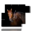 tableau avec des chevaux qui s aiment - version: 6 pannelli 122x96cm