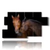 painting with horses that love each other - version: 7 pannelli 157x90cm