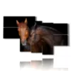 painting with horses that love each other - version: 7 pannelli 171x102cm